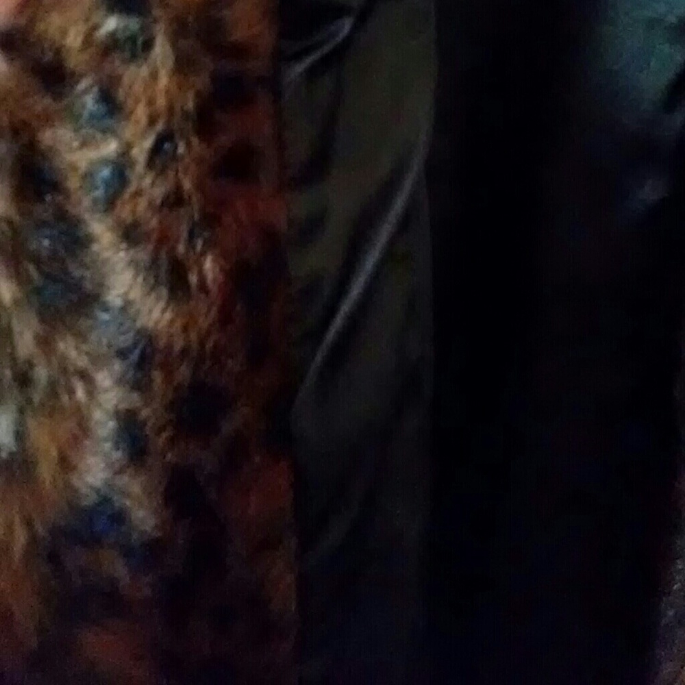 Fur Vests - Picture 2 of 3